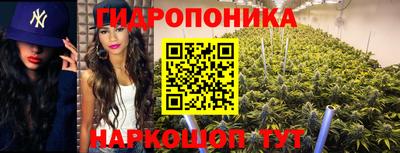 шишки Жуковский