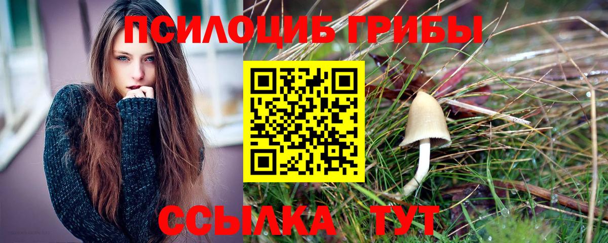 где можно купить   Вход с VPN  Черкесск  Псилоцибиновые грибы Psilocybine cubensis  Галлюциногенные грибы Magic Shrooms 