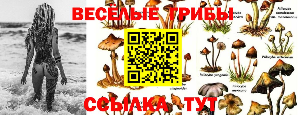 Галлюциногенные грибы GOLDEN TEACHER Черкесск